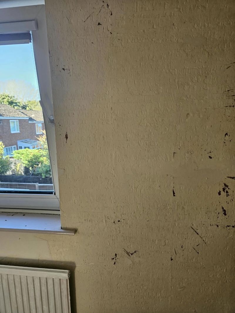 Cork-tiled wall before work, photo 1 of 3