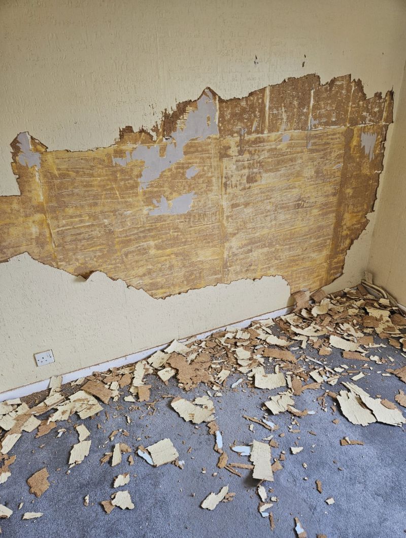 Cork tiles part-scraped from the wall, photo 2 of 3